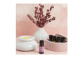 Load image into Gallery viewer, Essential Oil Electric Vaporiser

