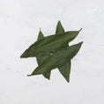 Load image into Gallery viewer, Bay Leaves Premium Grade
