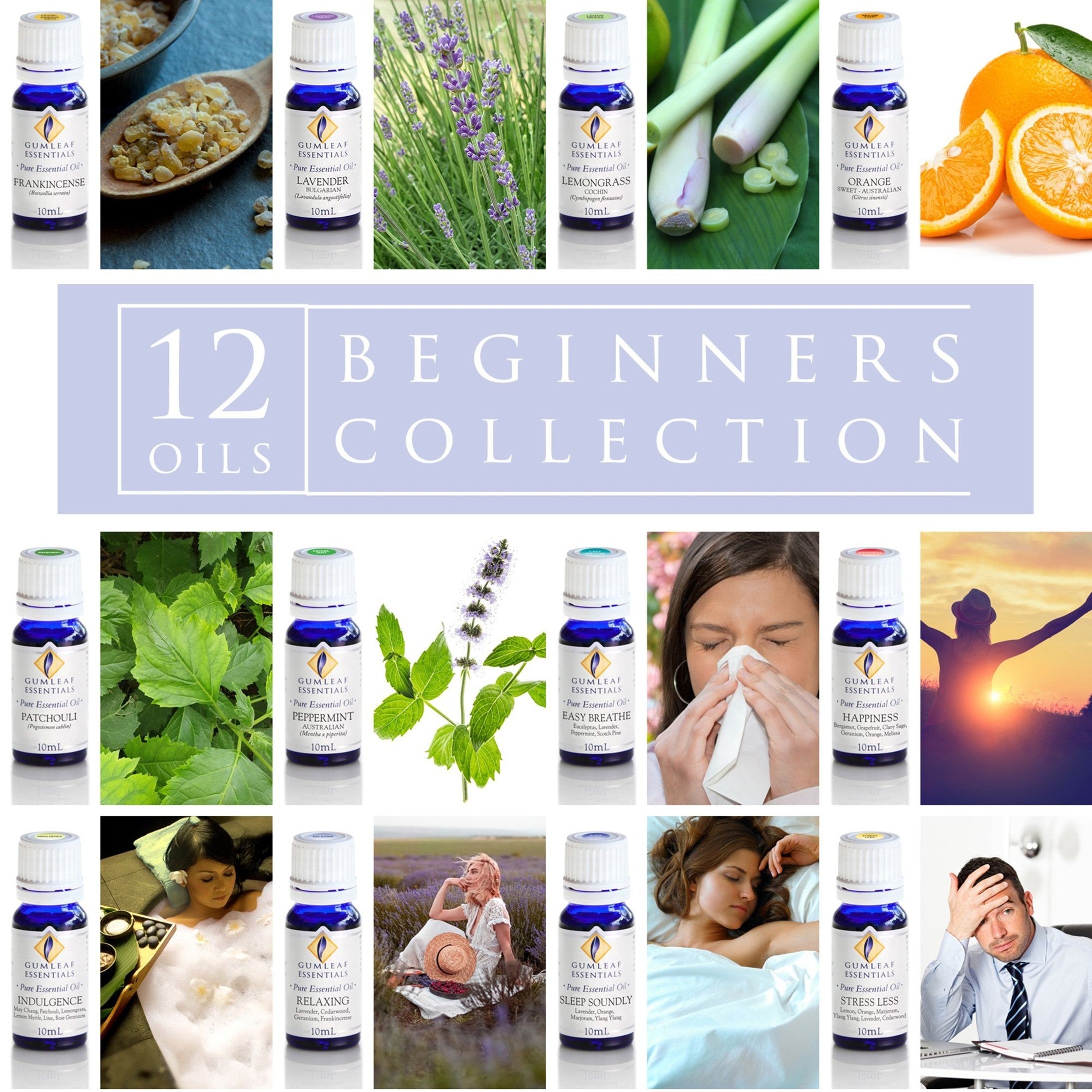 Beginners Collection Essential Oil Box Set