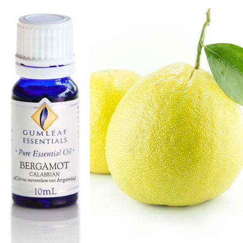 Bergamot Pure Essentials Oil