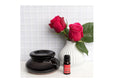 Load image into Gallery viewer, Essential Oil Electric Vaporiser
