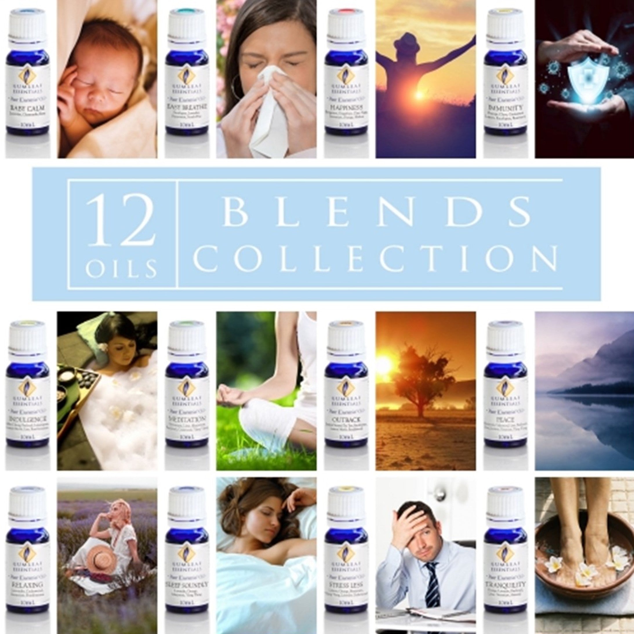 Blends Collection Essential Oil Box Set