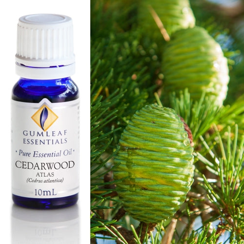 Cedarwood Atlas Pure Essentials Oil