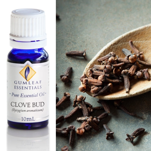 Clove Bud Pure Essential Oil