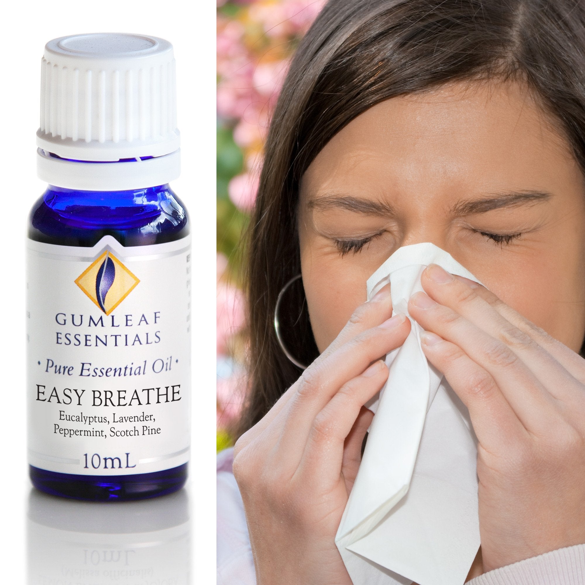 Easy Breathe Blended Essential Oils