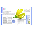 Load image into Gallery viewer, Essential Oils | Neals Yard Remedies Hardcover Book
