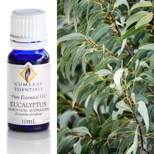 Eucalyptus Lemon Gum Australian Pure Essential Oil