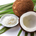 Load image into Gallery viewer, Carrier Oil - Fractionated Coconut
