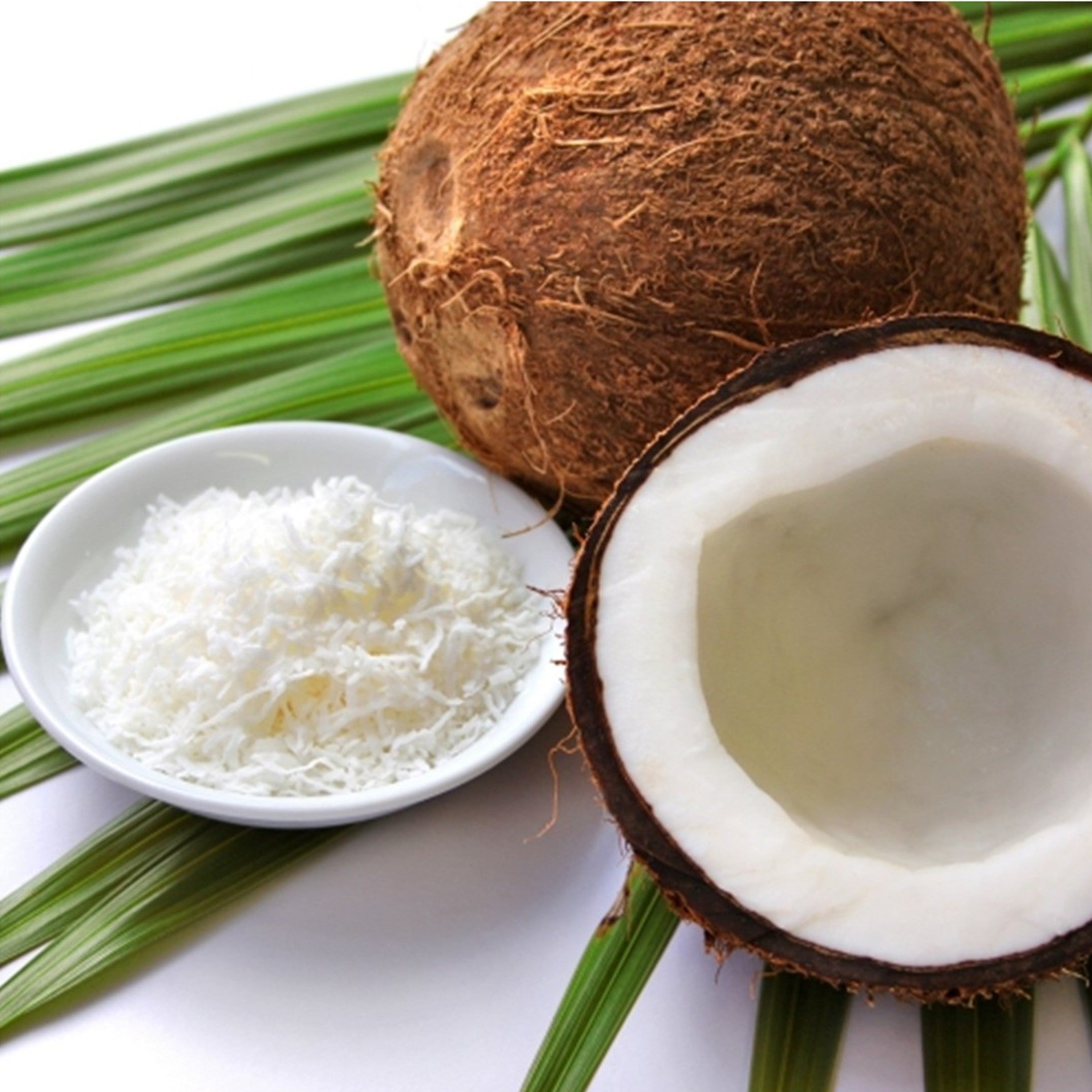 Carrier Oil - Fractionated Coconut
