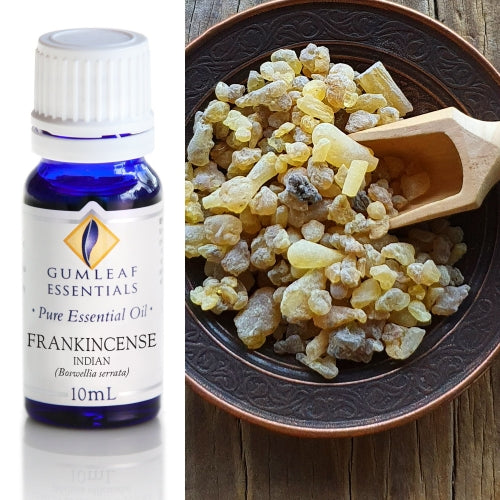 Frankincense Indian Pure Essential Oil