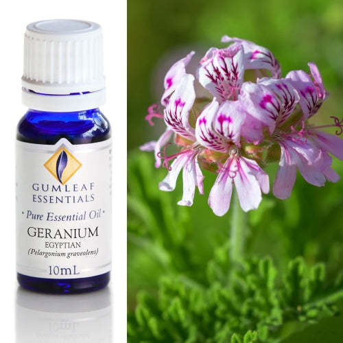 Geranium Egyptian Pure Essential Oil
