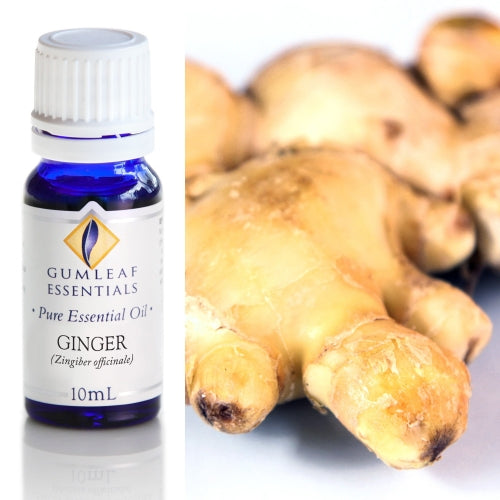 Ginger Pure Essential Oil