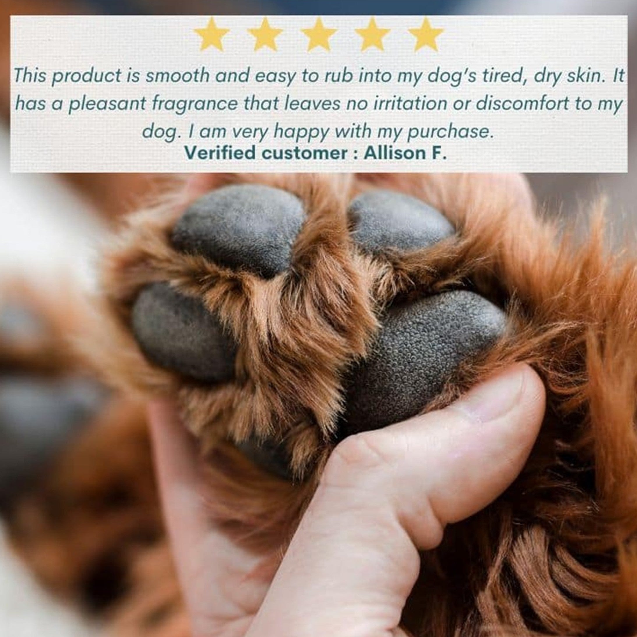 Hemp Pet Balm