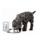 Load image into Gallery viewer, Immune Booster | Beef Liver & Hemp Meal Topper

