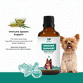 Load image into Gallery viewer, Raw Hemp Nectar, Immune Support | 100ml
