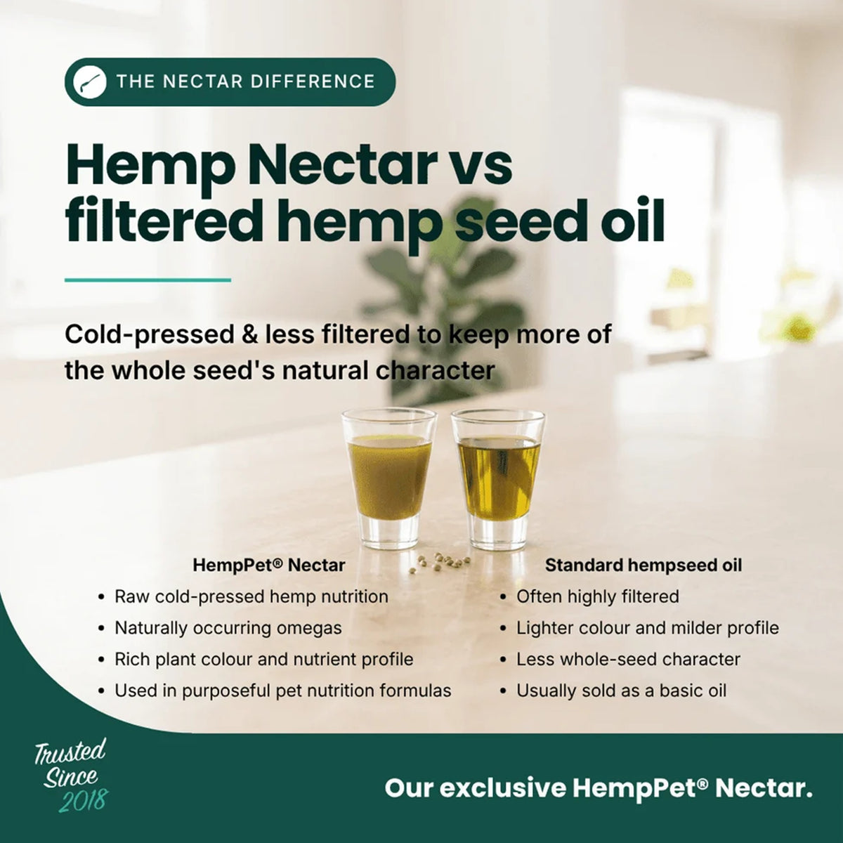 Raw Hemp Nectar, Immune Support | 100ml