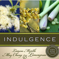 Load image into Gallery viewer, Indulgence Bath Soak
