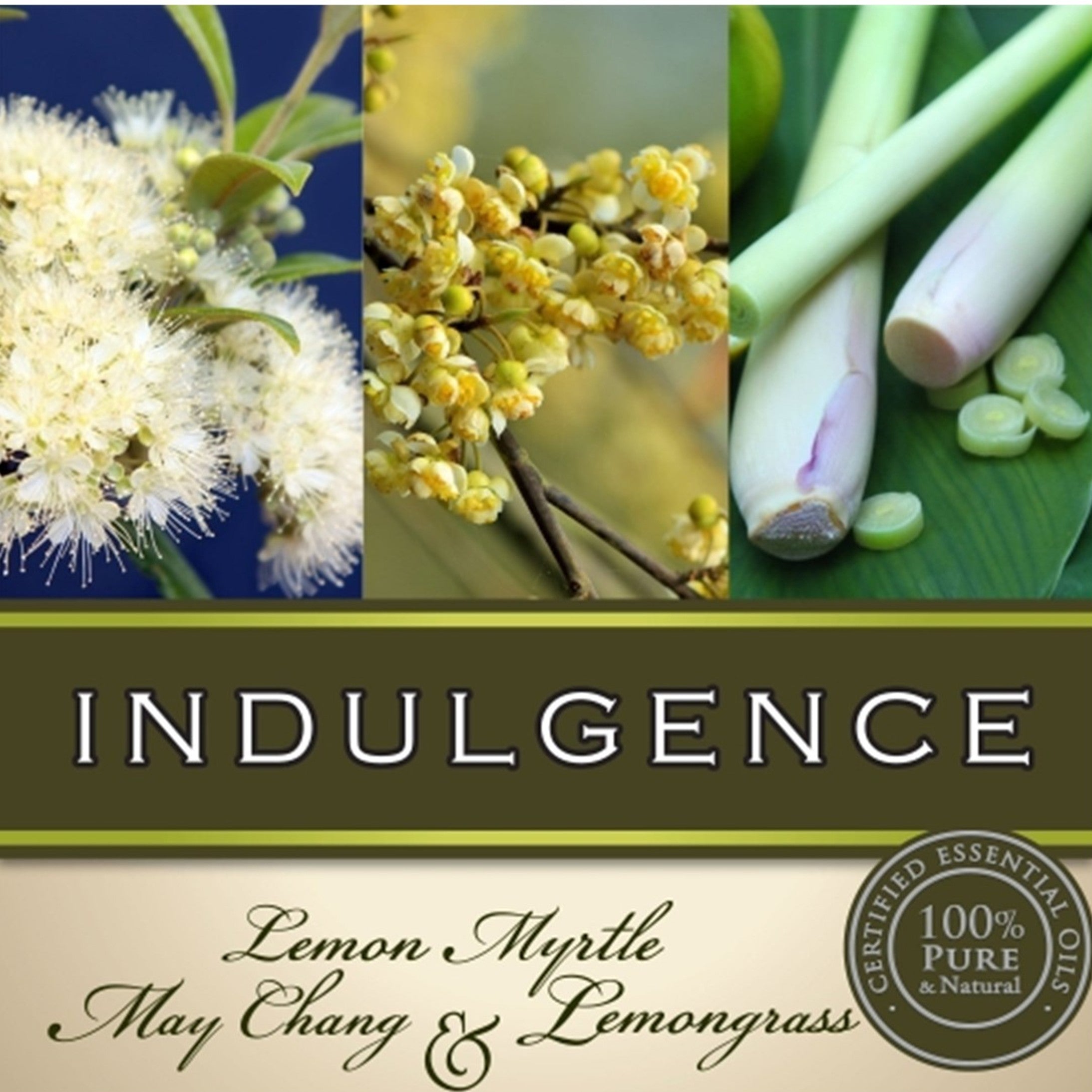 Indulgence Bath Soak
