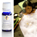 Load image into Gallery viewer, Indulgence Blended Essential Oils
