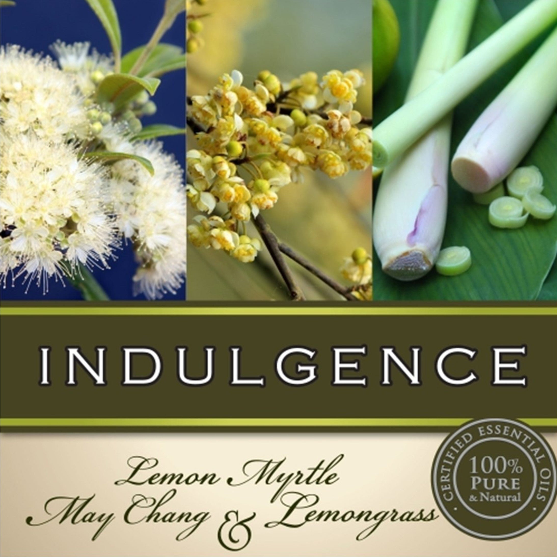 Indulgence Hand & Body Lotion