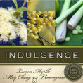 Load image into Gallery viewer, Indulgence Hand & Body Wash
