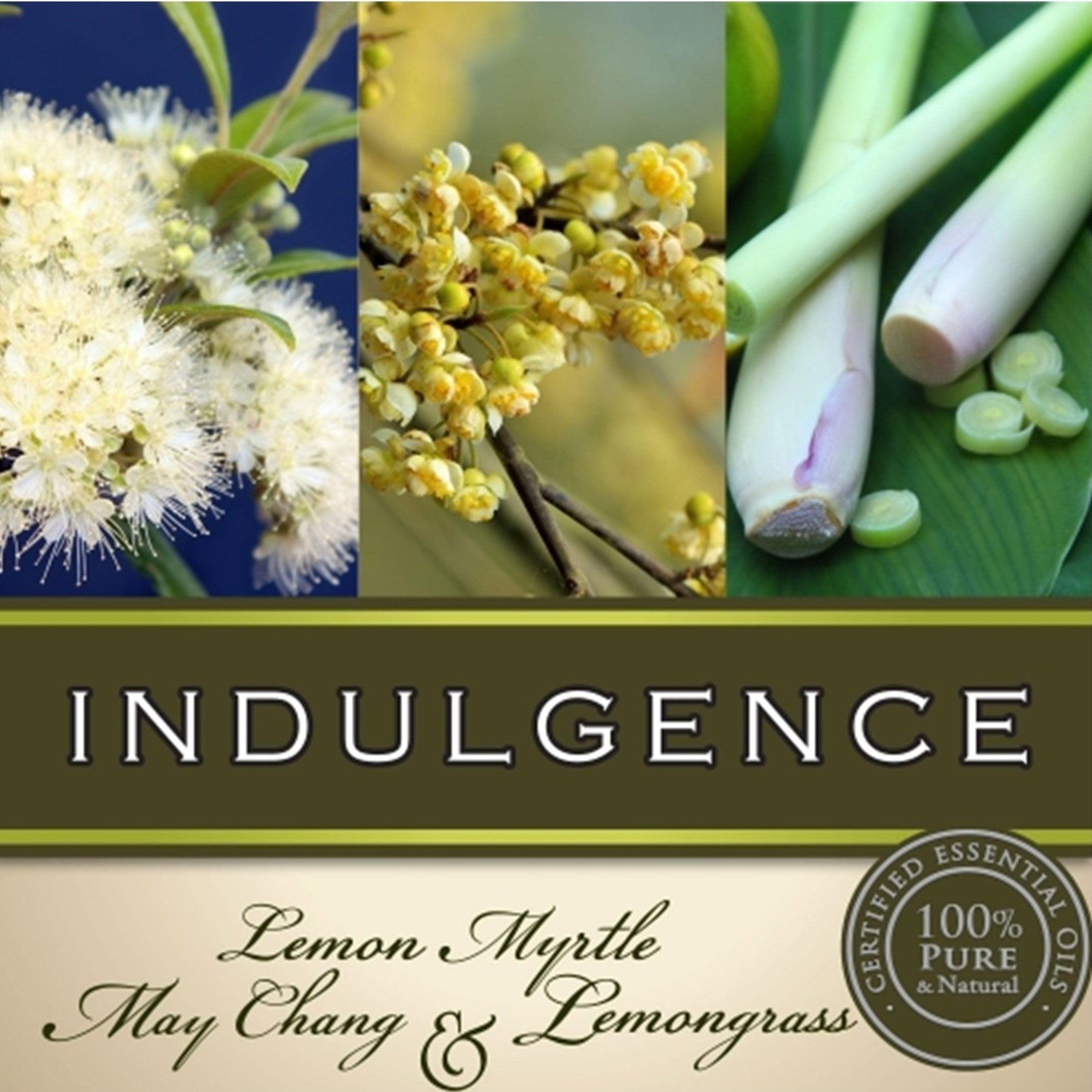 Indulgence Hand & Body Wash