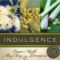 Load image into Gallery viewer, Massage Oil - Indulgence

