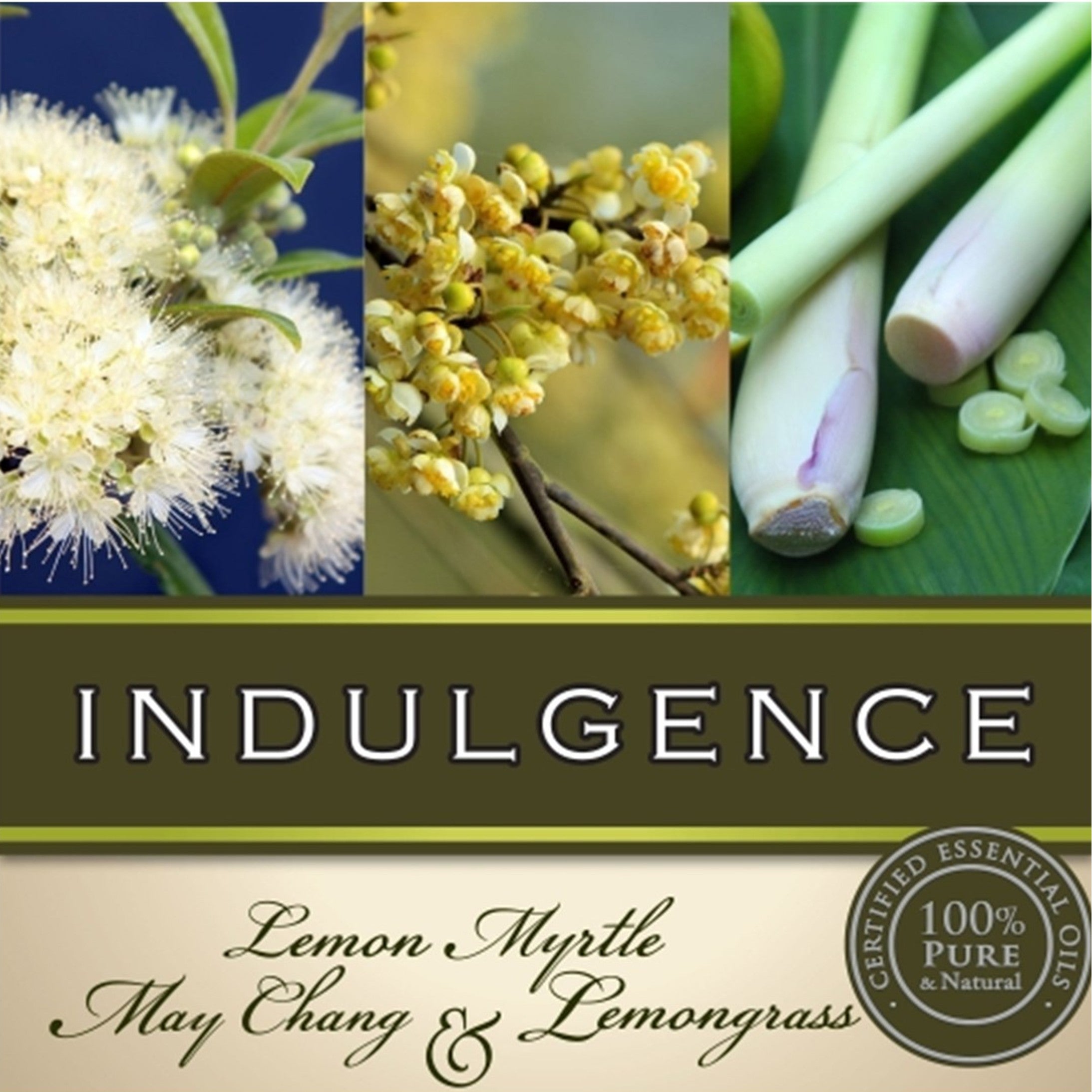 Massage Oil - Indulgence