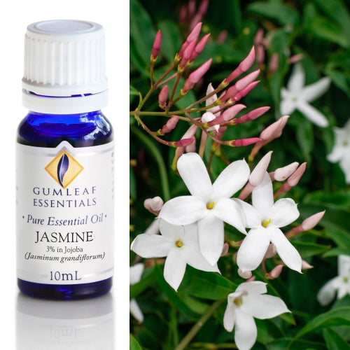 Jasmine (3% In Jojoba) Pure Essential Oil