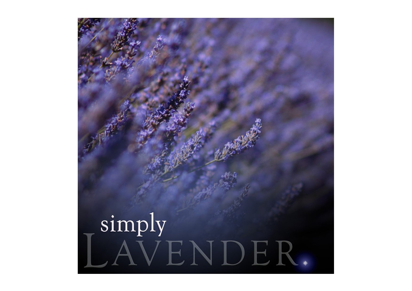 Lavender Soy Jar Candle