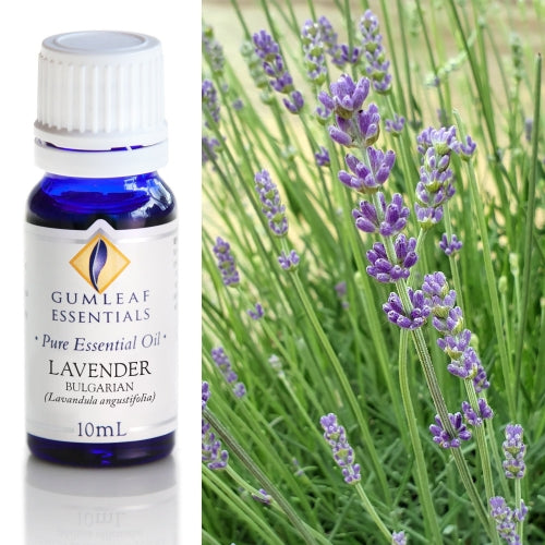 Lavender Bulgarian Pure Essential Oil