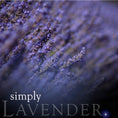 Load image into Gallery viewer, Lavender Room Spray

