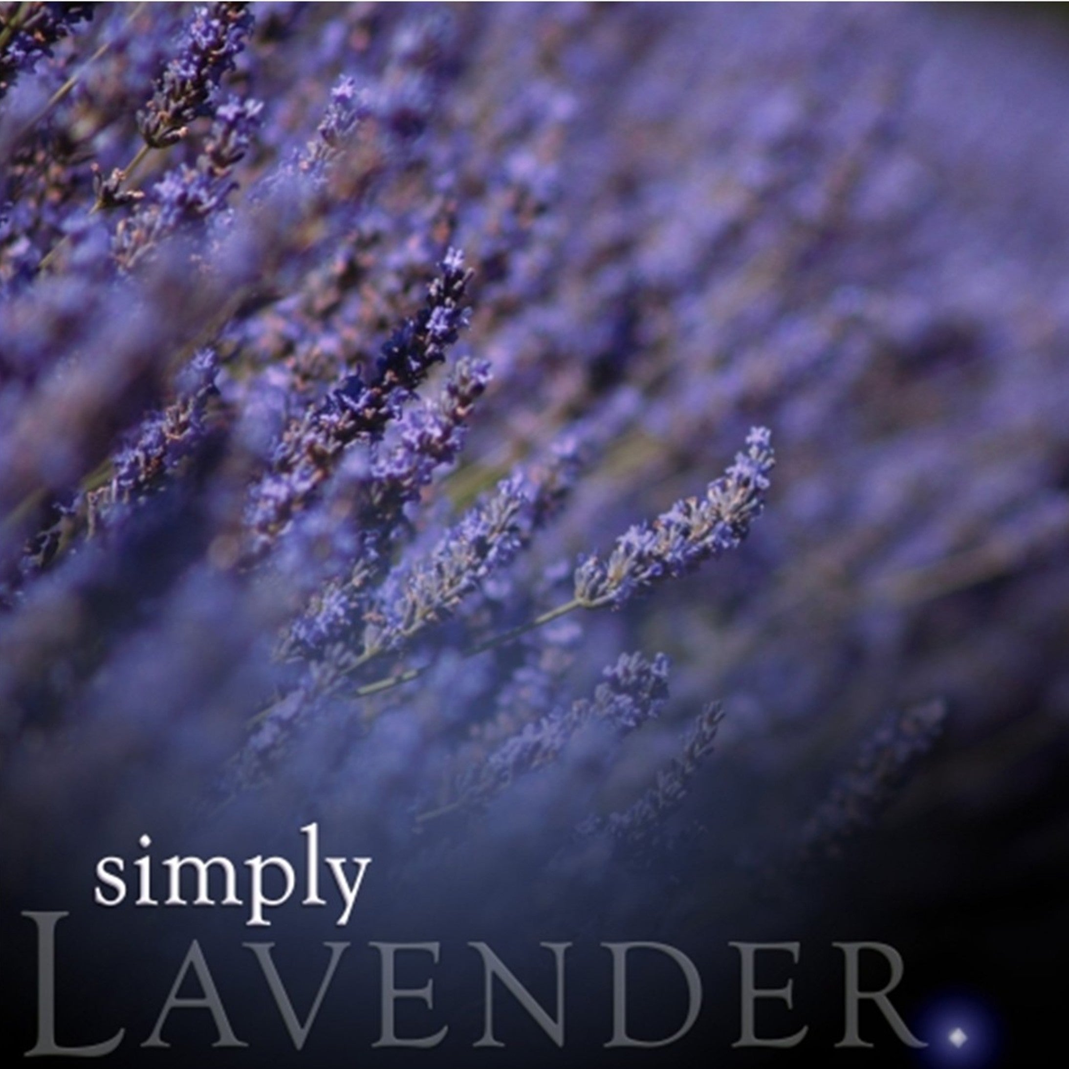 Lavender Reed Diffuser Refill