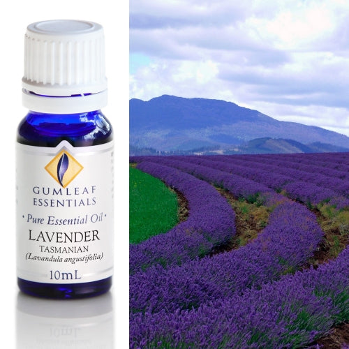 Lavender (Tasmanian) Pure Essential Oil