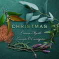 Load image into Gallery viewer, Christmas Lemon Myrtle & Eucalyptus Scent Cakes
