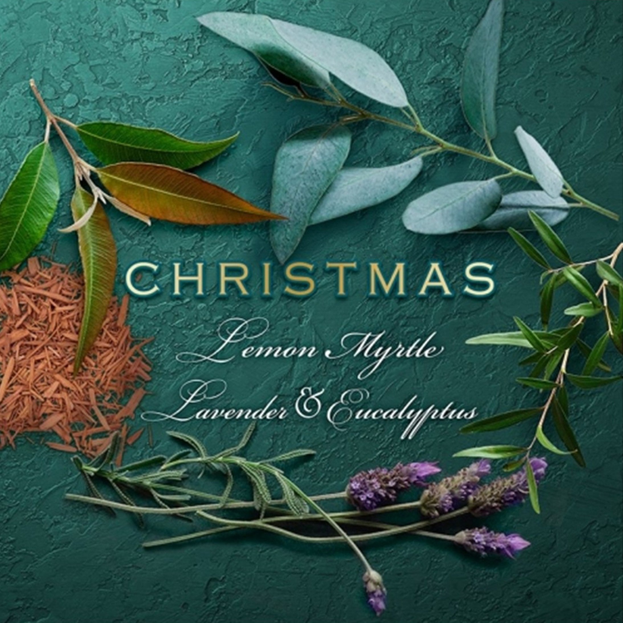 Christmas Lemon Myrtle & Eucalyptus Scent Cakes