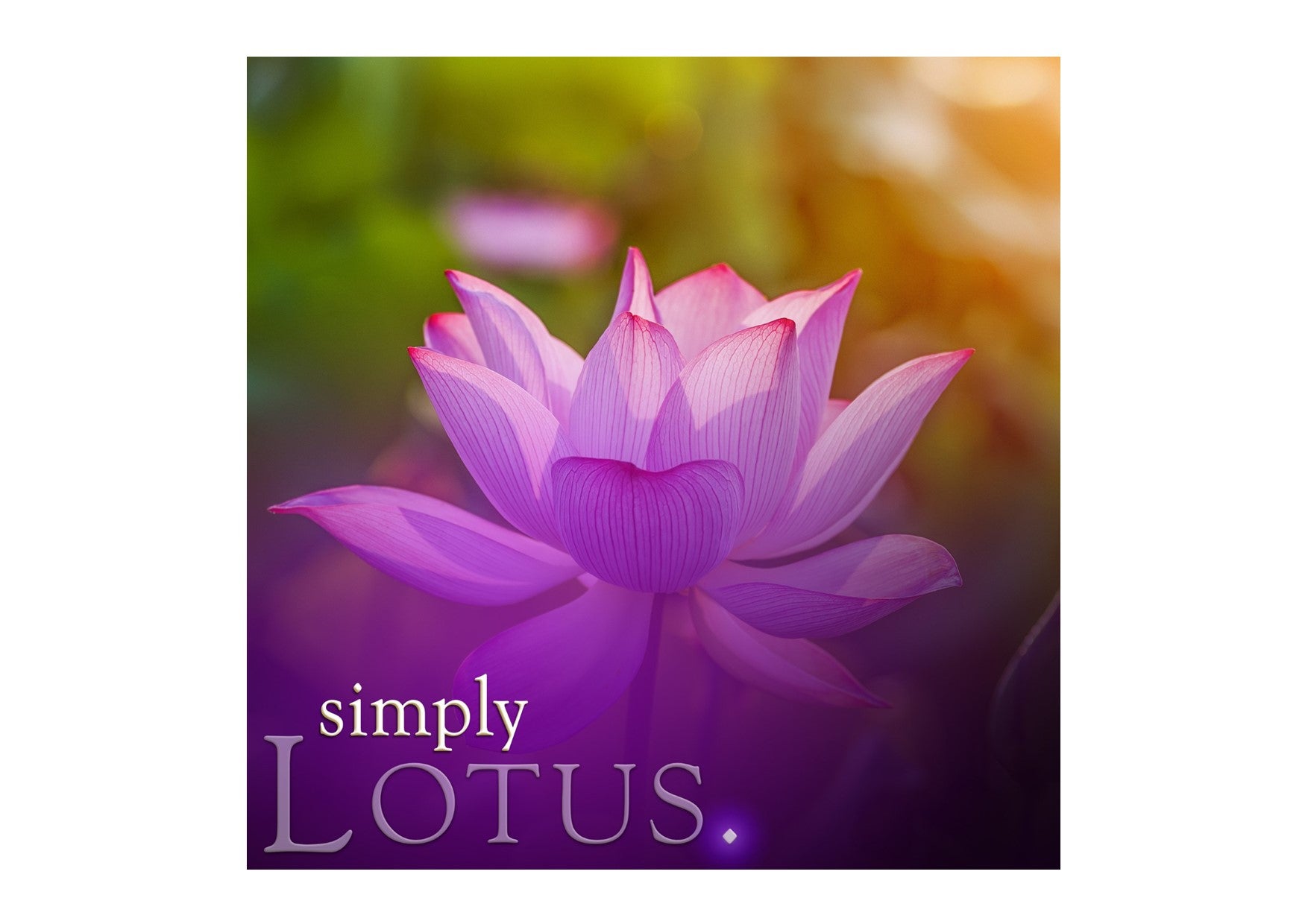 Lotus Soy Jar Candle