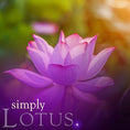 Load image into Gallery viewer, Lotus Pillar Candle
