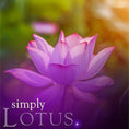 Load image into Gallery viewer, Lotus Reed Diffuser Refill
