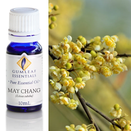 May Chang Pure Essential Oil