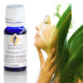 Load image into Gallery viewer, Mildfulness Essential Oil Blend
