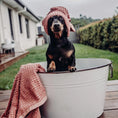 Load image into Gallery viewer, Natural Pet Shampoo Bar
