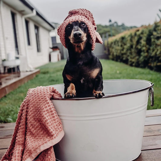Natural Pet Shampoo Bar