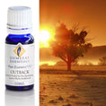 Load image into Gallery viewer, Outback Blended Essential Oils
