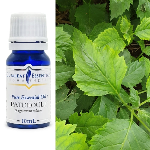Patchouli Pure Essential Oil