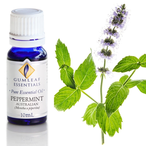 Peppermint Australian Pure Essential Oil