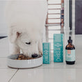 Load image into Gallery viewer, Pet Balance – Hemp Pet Oil
