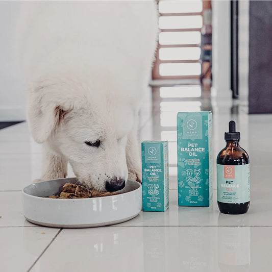 Pet Balance – Hemp Pet Oil