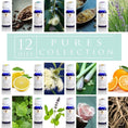 Load image into Gallery viewer, Pures Collection Essential Oil Box Set
