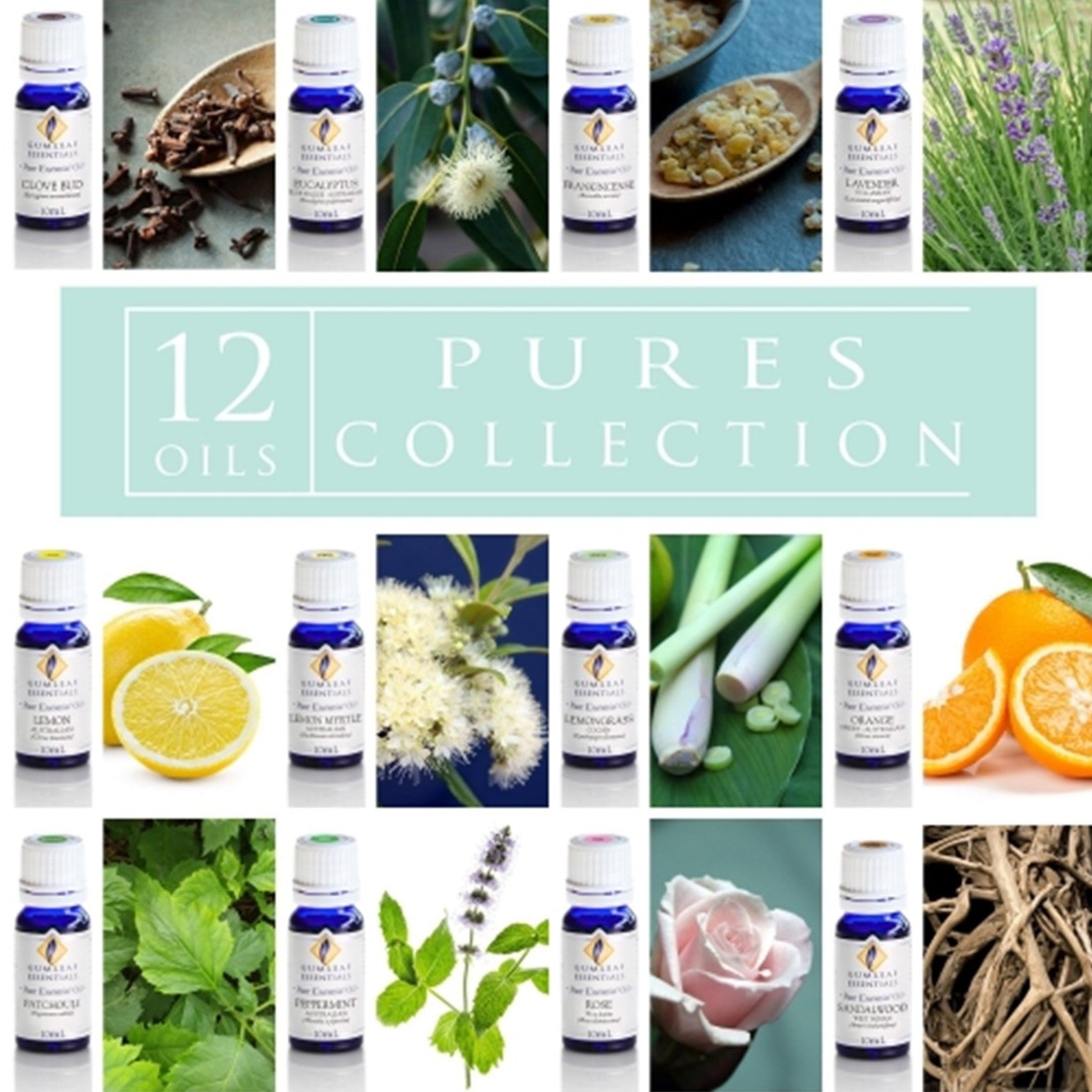 Pures Collection Essential Oil Box Set